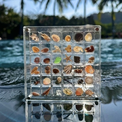 comprar Nuevo diseño de muestras de conchas marinas magnéticas caja de exhibición acrílica para joyas caja de almacenamiento online manufacture